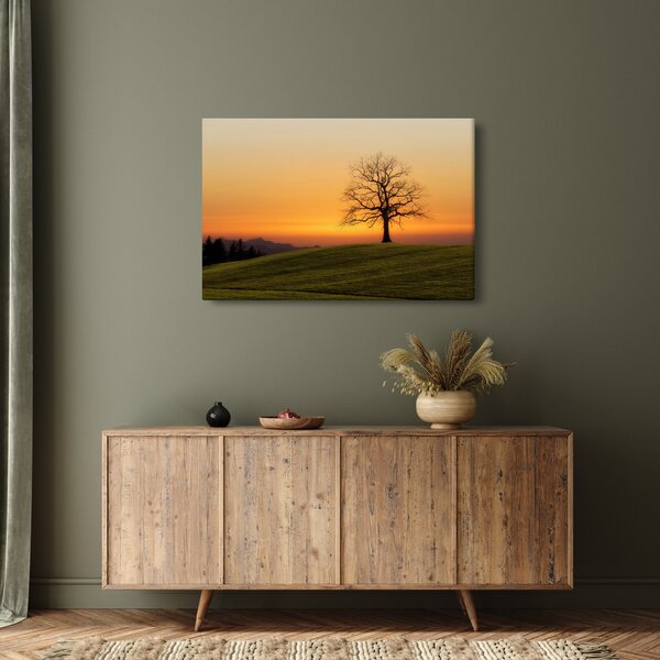Slika zalaska sunca na livadi (90x60 cm)