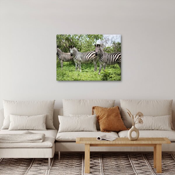 Slika sa zebrama (70x50 cm)