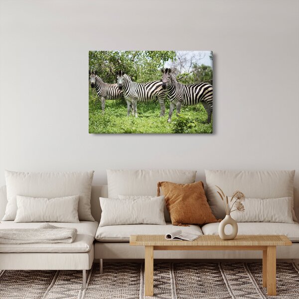 Slika sa zebrama (90x60 cm)