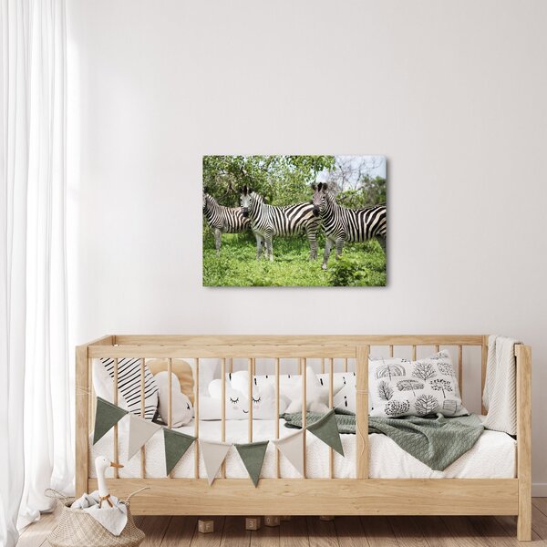 Slika sa zebrama (70x50 cm)