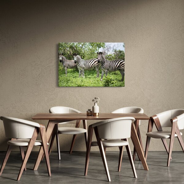 Slika sa zebrama (90x60 cm)