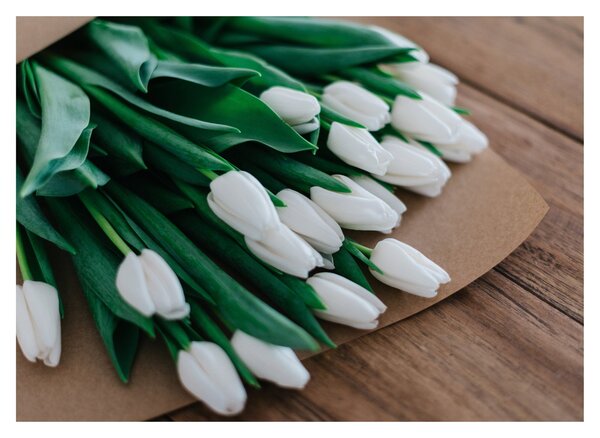 Slika buketa bijelih tulipana (70x50 cm)