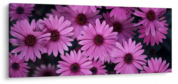 Slika ružičastog cvijeća (120x50 cm)