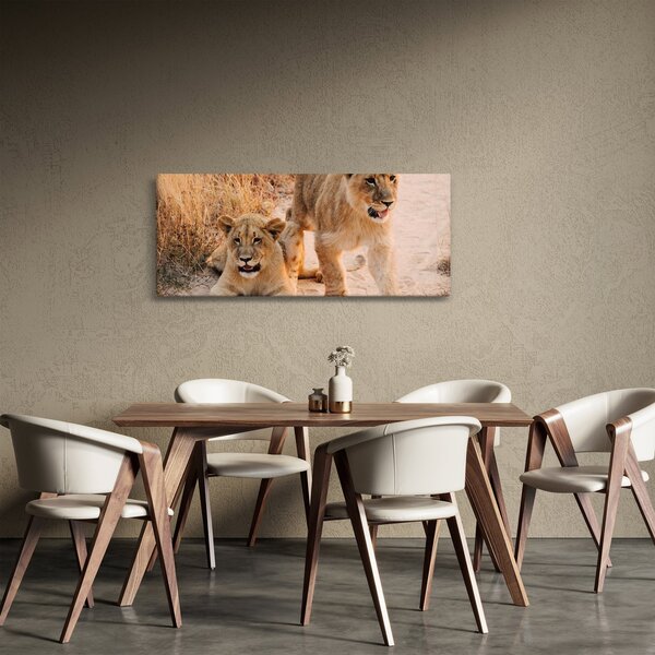 Slika mladunaca lavova (120x50 cm)