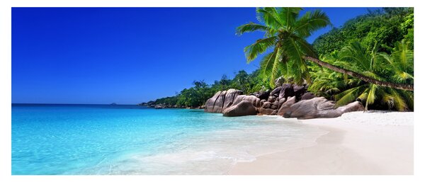 Slika plaže na otoku Praslin (120x50 cm)