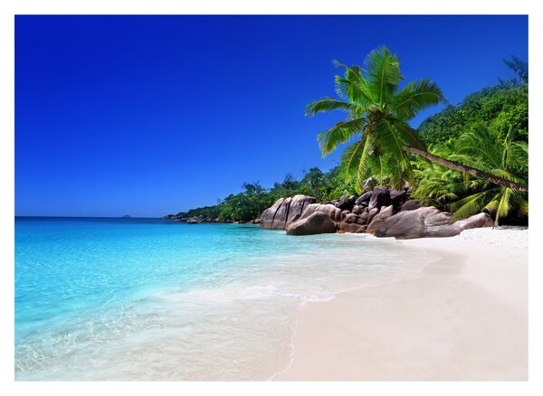 Slika plaže na otoku Praslin (70x50 cm)