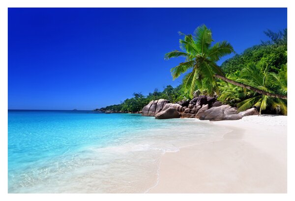 Slika plaže na otoku Praslin (90x60 cm)