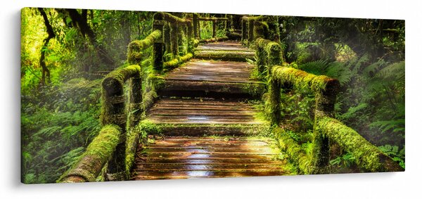 Slika stepenica u prašumi (120x50 cm)