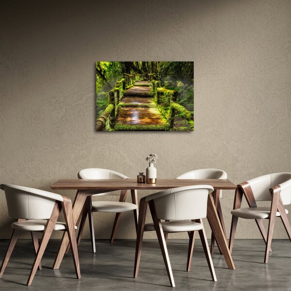 Slika stepenica u prašumi (70x50 cm)