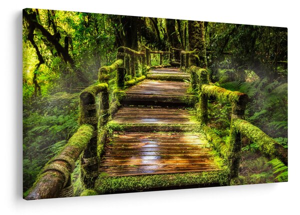 Slika stepenica u prašumi (90x60 cm)