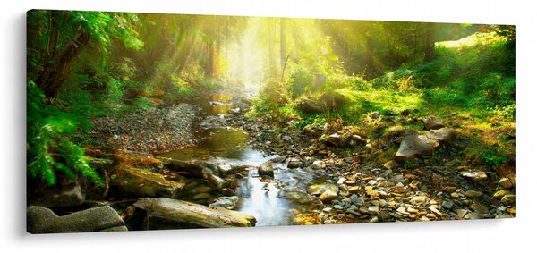 Slika rijeke u zelenoj šumi (120x50 cm)