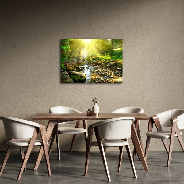 Slika rijeke u zelenoj šumi (70x50 cm)