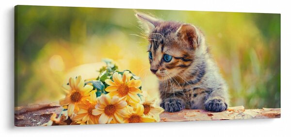 Slika mačića koji gleda cvijet (120x50 cm)