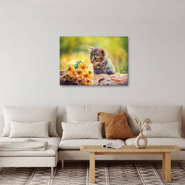 Slika mačića koji gleda cvijet (70x50 cm)