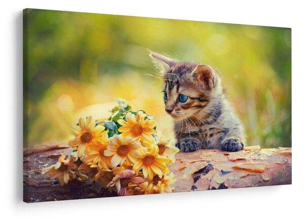 Slika mačića koji gleda cvijet (90x60 cm)
