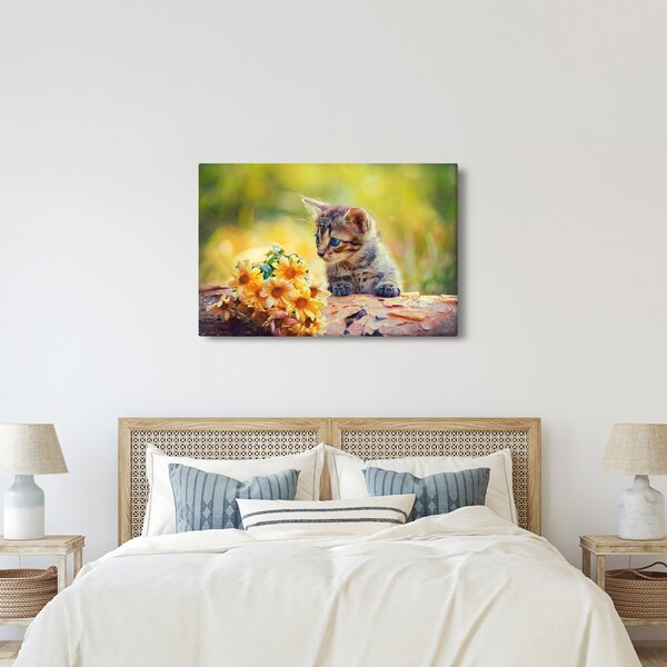 Slika mačića koji gleda cvijet (90x60 cm)