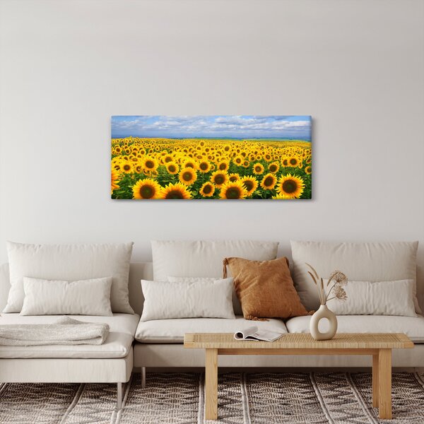 Slika polja suncokreta (120x50 cm)
