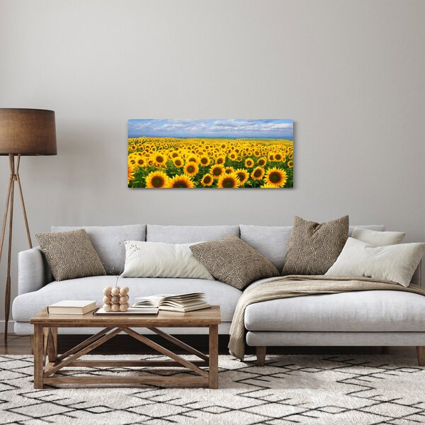 Slika polja suncokreta (120x50 cm)