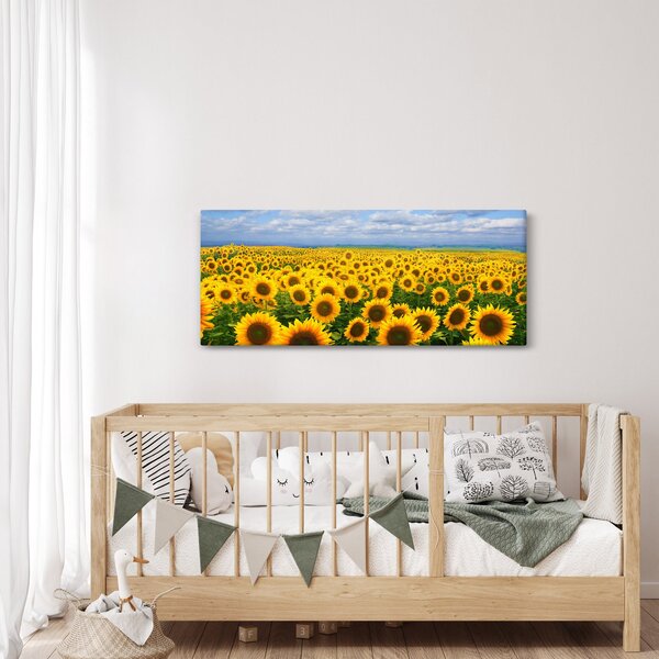 Slika polja suncokreta (120x50 cm)