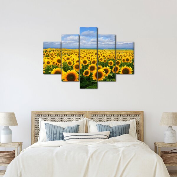 Slika polja suncokreta (150x105 cm)