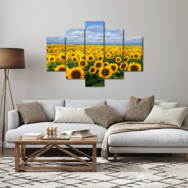 Slika polja suncokreta (150x105 cm)