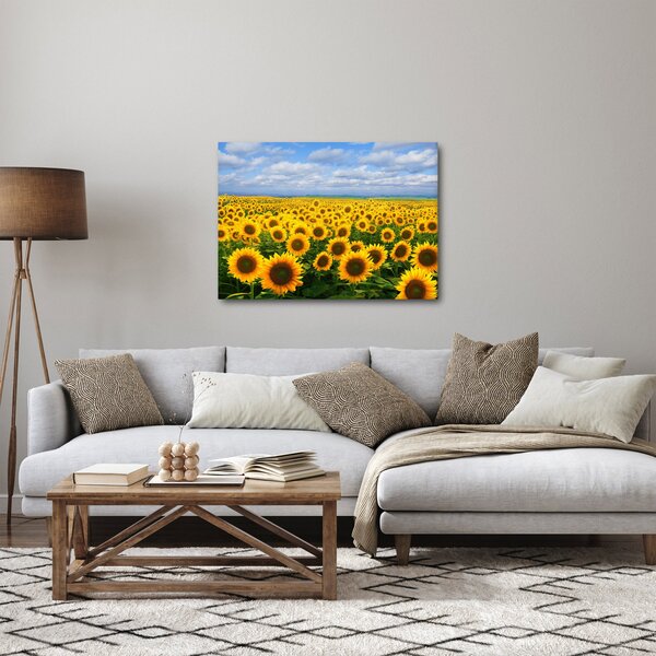 Slika polja suncokreta (70x50 cm)