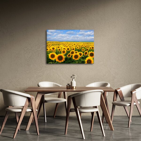 Slika polja suncokreta (70x50 cm)