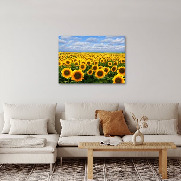 Slika polja suncokreta (70x50 cm)