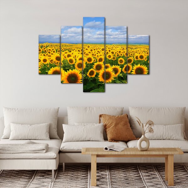 Slika polja suncokreta (150x105 cm)