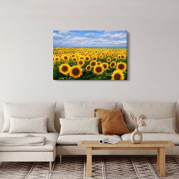 Slika polja suncokreta (90x60 cm)