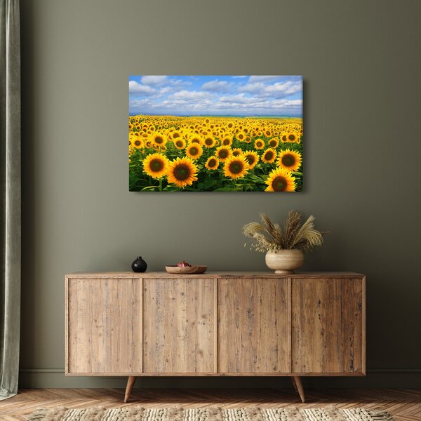 Slika polja suncokreta (90x60 cm)