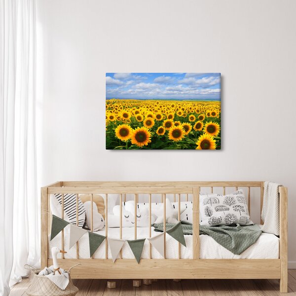 Slika polja suncokreta (90x60 cm)