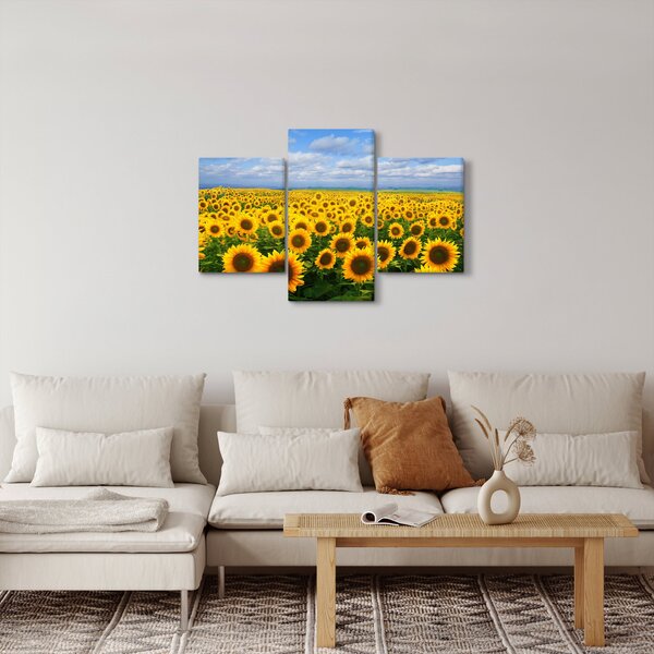 Slika polja suncokreta (90x60 cm)