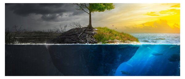 Slika koja prikazuje dvije strane (120x50 cm)