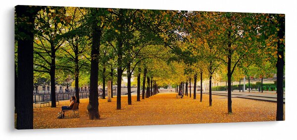 Slika aleje jesenskih stabala (120x50 cm)