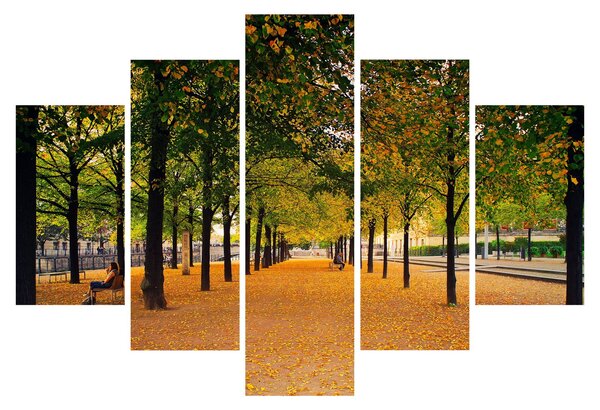 Slika aleje jesenskih stabala (150x105 cm)