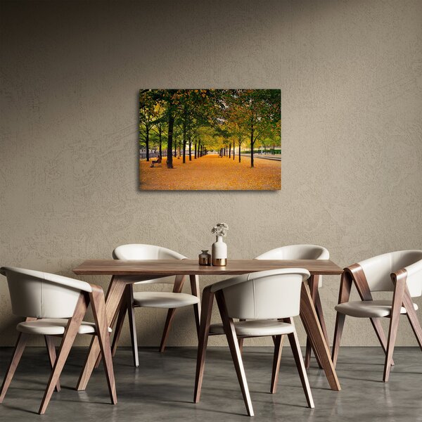 Slika aleje jesenskih stabala (70x50 cm)