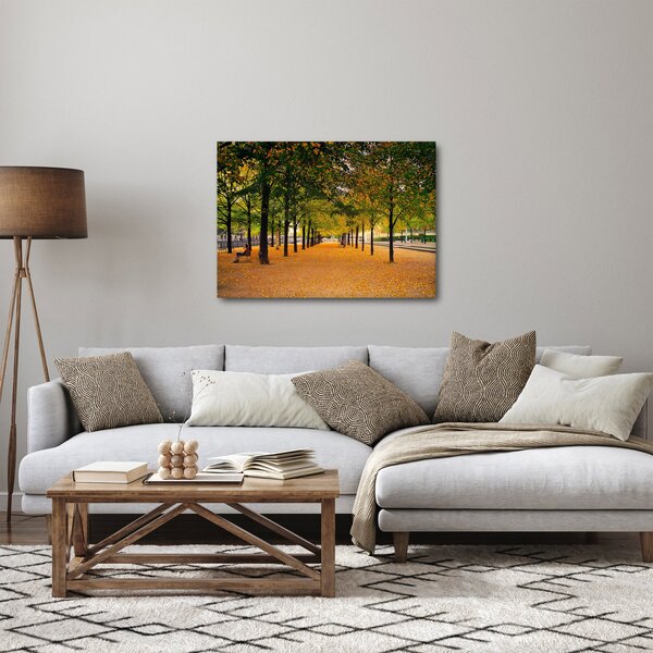 Slika aleje jesenskih stabala (70x50 cm)