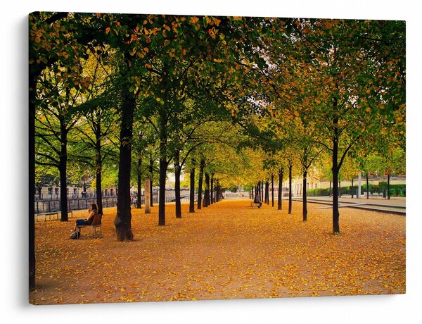 Slika aleje jesenskih stabala (70x50 cm)