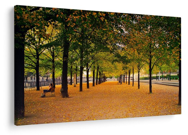 Slika aleje jesenskih stabala (90x60 cm)