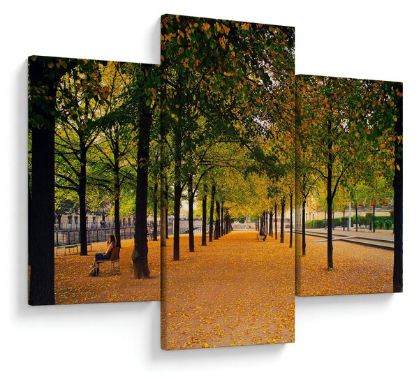 Slika aleje jesenskih stabala (90x60 cm)