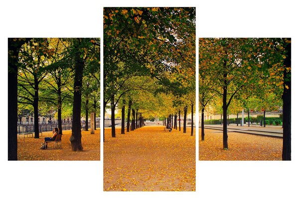 Slika aleje jesenskih stabala (90x60 cm)