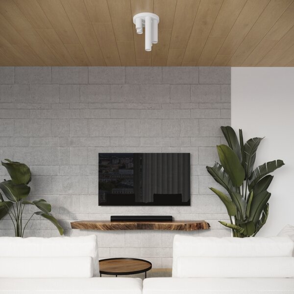 Stropna lampa LAGOS 3P bijela