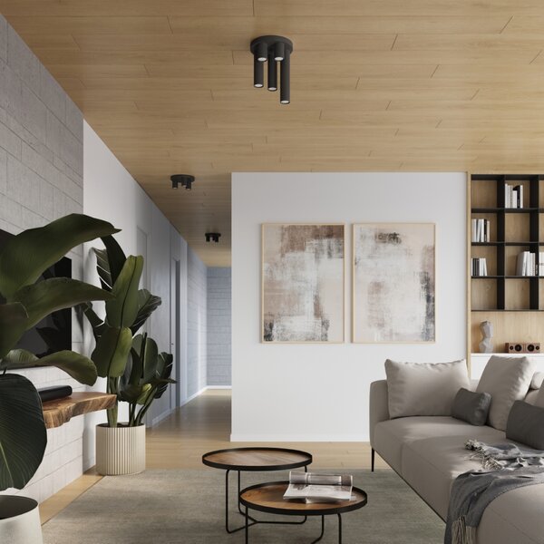 Stropna lampa LAGOS 3P crna