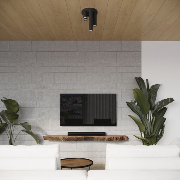 Stropna lampa LAGOS 3P crna