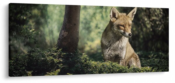 Slika lisice (120x50 cm)