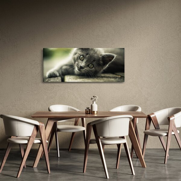 Slika mačića (120x50 cm)