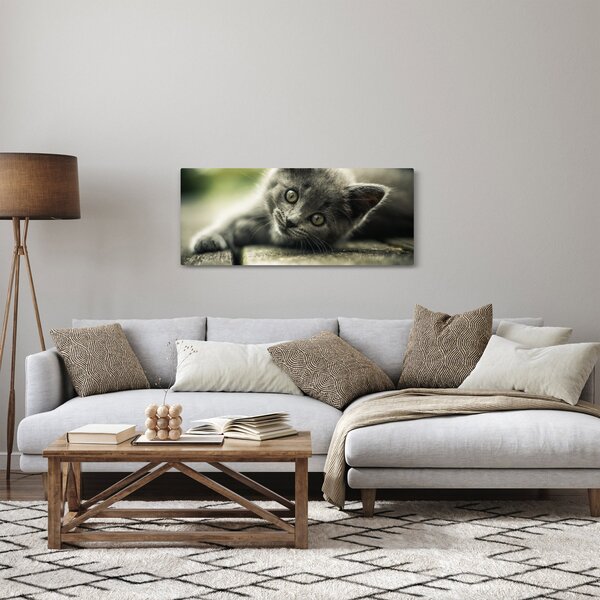 Slika mačića (120x50 cm)