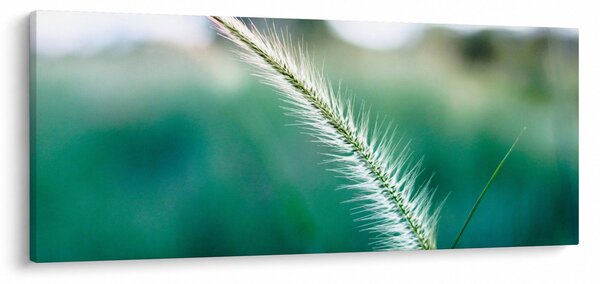 Slika vlati trave (120x50 cm)