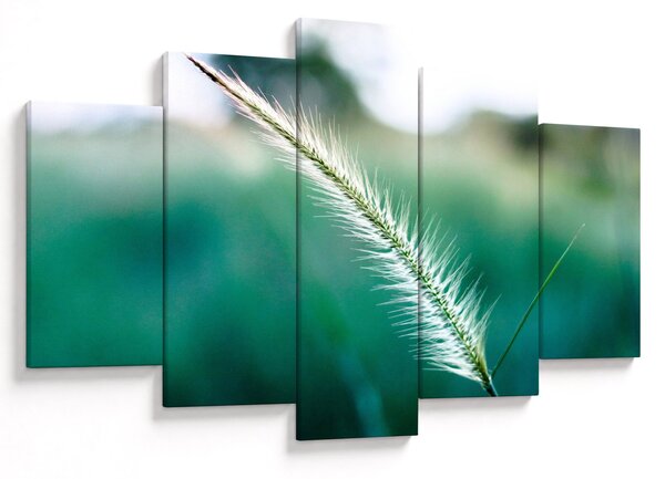 Slika vlati trave (150x105 cm)